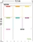 Erasable Magnetic Fridge Calendar for Family To Do List Weekly Monthly Daily
