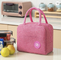 Portable thermal Insulation Cooler Bag Bento Lunch Tote For food Carry